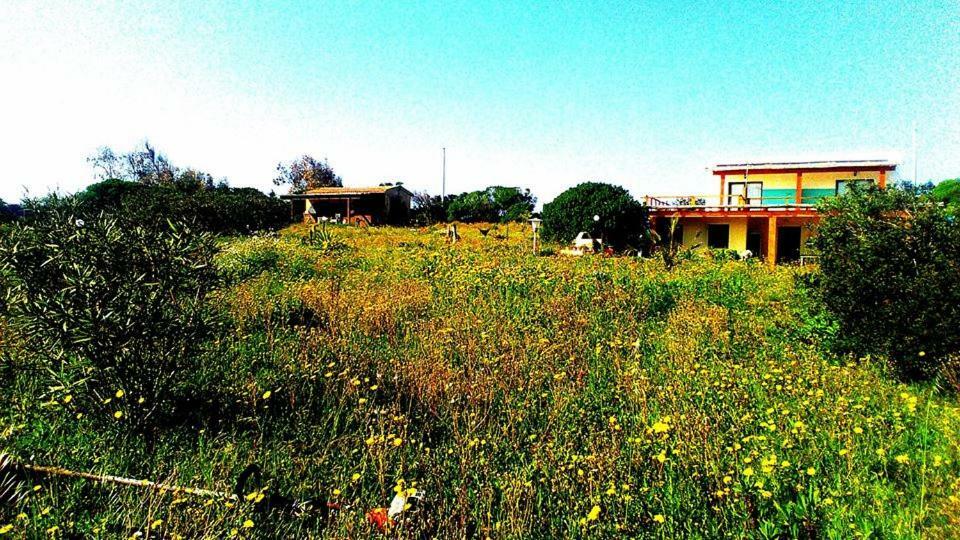 Eco Affittacamere Casa Maica Eco Guesthouse ستينتينو المظهر الخارجي الصورة